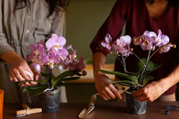 Orchid Selection Consultation setting