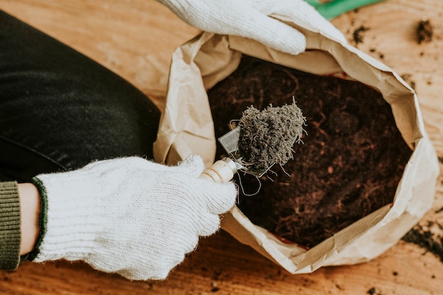 Roots and fresh bark substrate being prepared for a repotting service