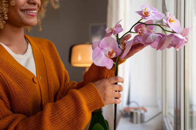 Comparing a curated orchid shelf against a generic plant aisle